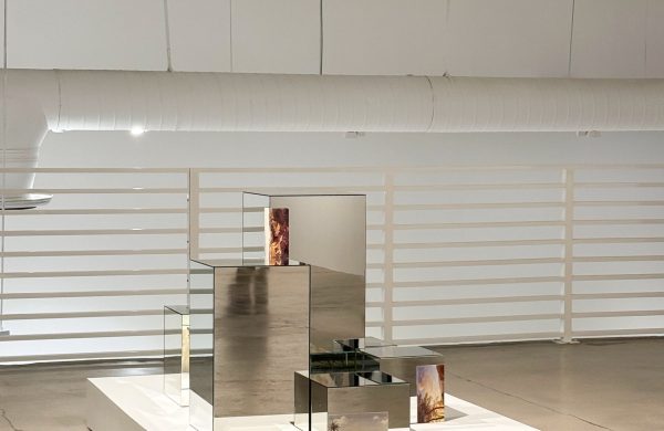 ”En la naturaleza no hay líneas rectas, 2017”