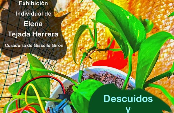 Invitación-Instagram-Exhibición-Tejada-Herrera (1)