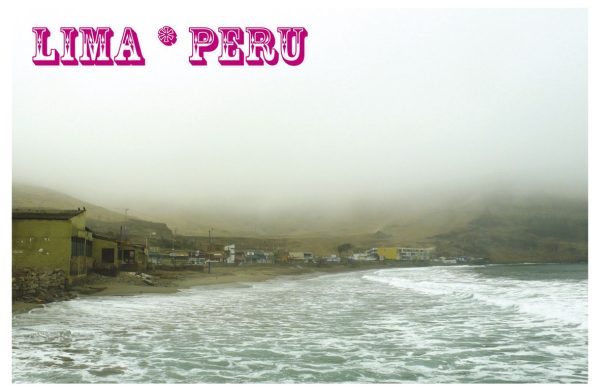 WhatsApp Image 2025-08-27 at 2.01.17 PM